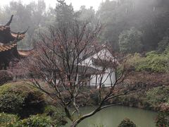 -杭州黄龙洞