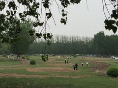 -天津武清北运河郊野公园房车露营地