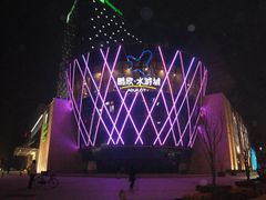 -鹏欣水游城