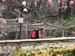 -红螺寺
