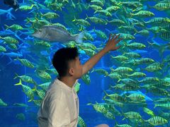 -南昌融创海世界