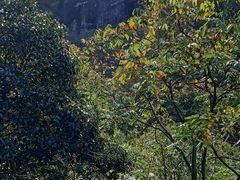 -燕子河大峡谷天坑仙境