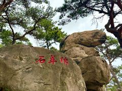 -崂山仰口游览区