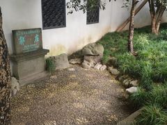 -郭庄茶室
