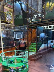 -卡通尼·Safari非洲探索乐园·生日会(金桥国际商业广场店)