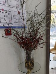 -上海漾颜医疗美容