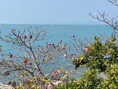 -三亚西岛海洋文化旅游区