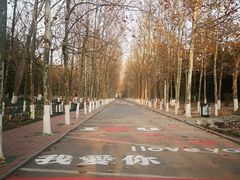 -八大关景区