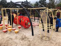 -铁山坪森林公园