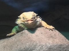 -福州罗源湾海洋世界旅游区