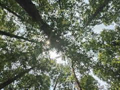 -南京金牛湖风景区