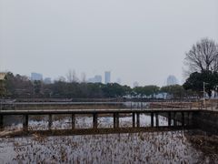 -月湖风景区