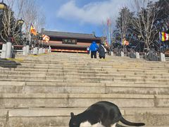 -横山寺