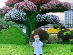 -国家动漫园