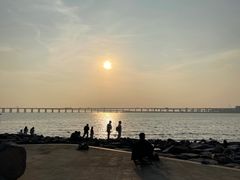 -宝安西湾红树林湿地公园