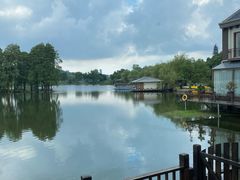 -东湖食堂·湖景餐厅•会议