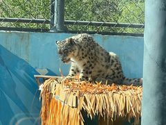 -青藏高原野生动物园