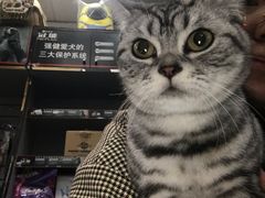 -北京赛佳动物医院