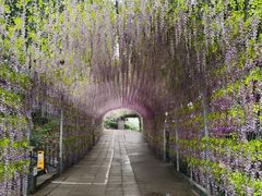 -山乡农家院(海淀区西北旺店)