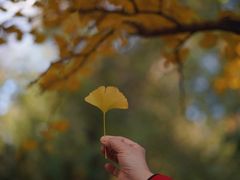 -长白岛森林公园