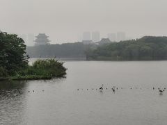-海珠湖公园
