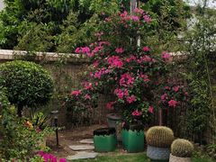 -广州神农草堂中医药博物馆