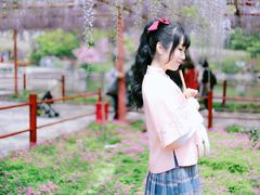 -嘉定紫藤园