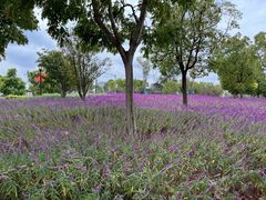 -上海山野camping·户外天幕烧烤·团建拓展营地