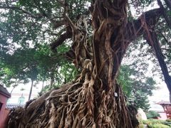 -闽粤南澳总镇府
