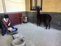 -河北村民俗体验园