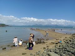 -霞涌市场海鲜摆卖区