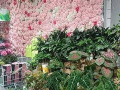 -盒马鲜生(曜一城店)