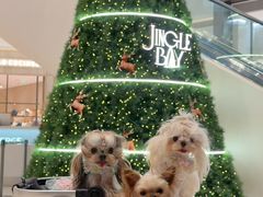 -深圳湾万象城(南山店)