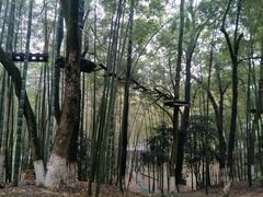 -石燕湖生态旅游景区