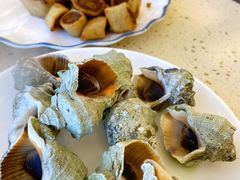 -港畔赶海蒸汽海鲜烧烤自助(仙螺岛店)