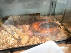 -上海昆虫博物馆