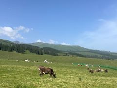 -新疆那拉提国家旅游度假区