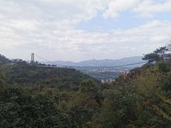 -南丹山森林王国