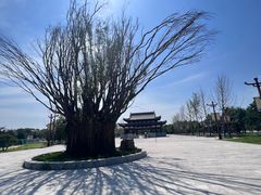 -赵州桥景区