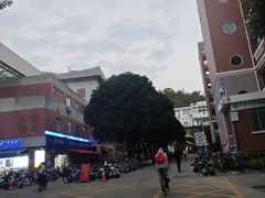 -厦门大学(思明校区)