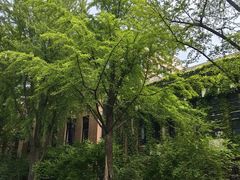 -清华大学-观畴园餐厅