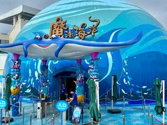 -海合安青岛极地海洋公园