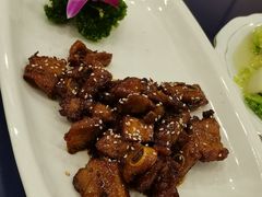 -上海银珠苑度假村-地面停车场