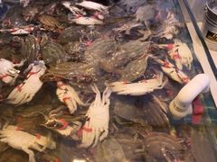 -集品鲜湾·蒸汽海鲜自助料理(青岛银座和谐广场店)