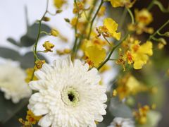 -花到家(富贵鸟花艺行)