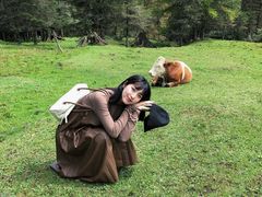 -硗碛藏寨·神木垒景区