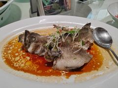 清蒸龙趸石斑鱼-顺峰(阜成店)