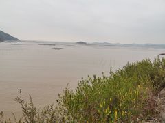 -北岐滩涂