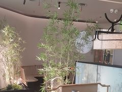 -绿茶餐厅(淮安吾悦广场店)