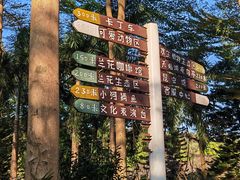 -田野绿世界